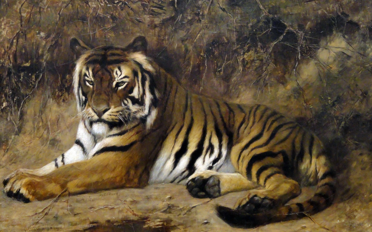 рисунок, тигр