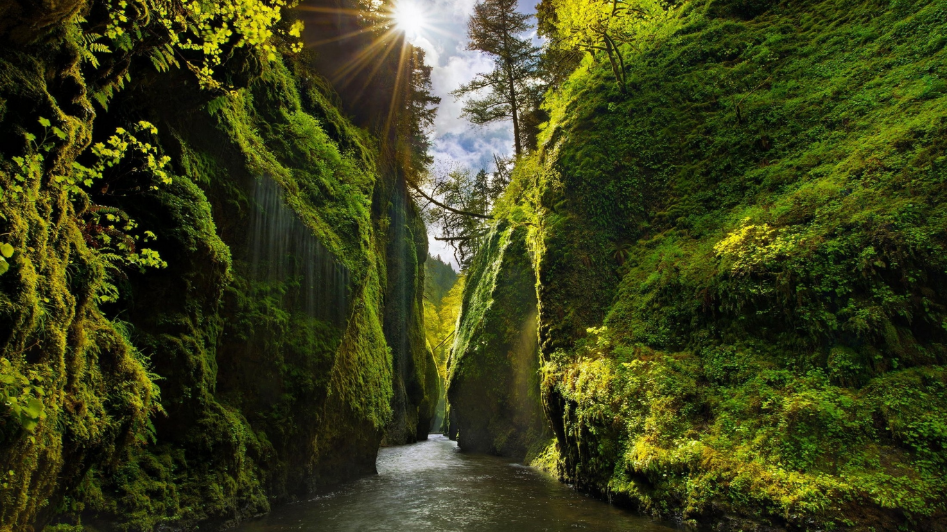 лес, горы, река, каньон, canyon, oregon, sun rays, moss, river, shrubs, grass, lake, mounts, field, forest, path, fallen, park, green, nature, landscapes, trees, forest, trail, woods, leaves, fence, sunrise, see, dark, summer, wide