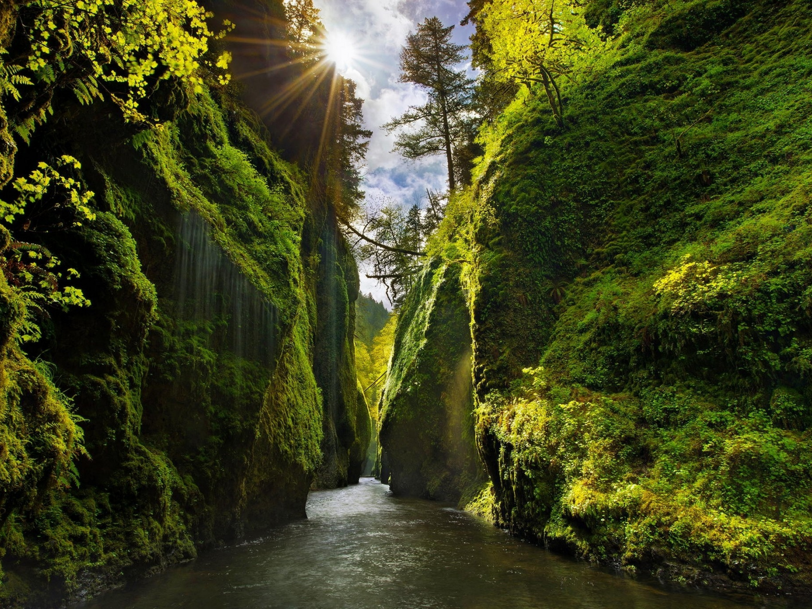 лес, горы, река, каньон, canyon, oregon, sun rays, moss, river, shrubs, grass, lake, mounts, field, forest, path, fallen, park, green, nature, landscapes, trees, forest, trail, woods, leaves, fence, sunrise, see, dark, summer, wide