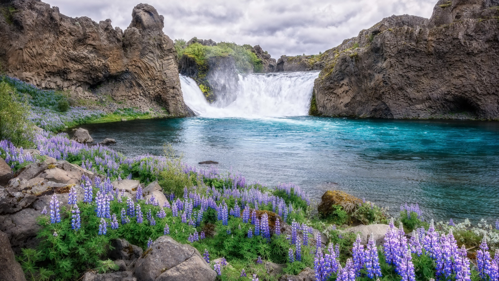 цветы, река, водопад
