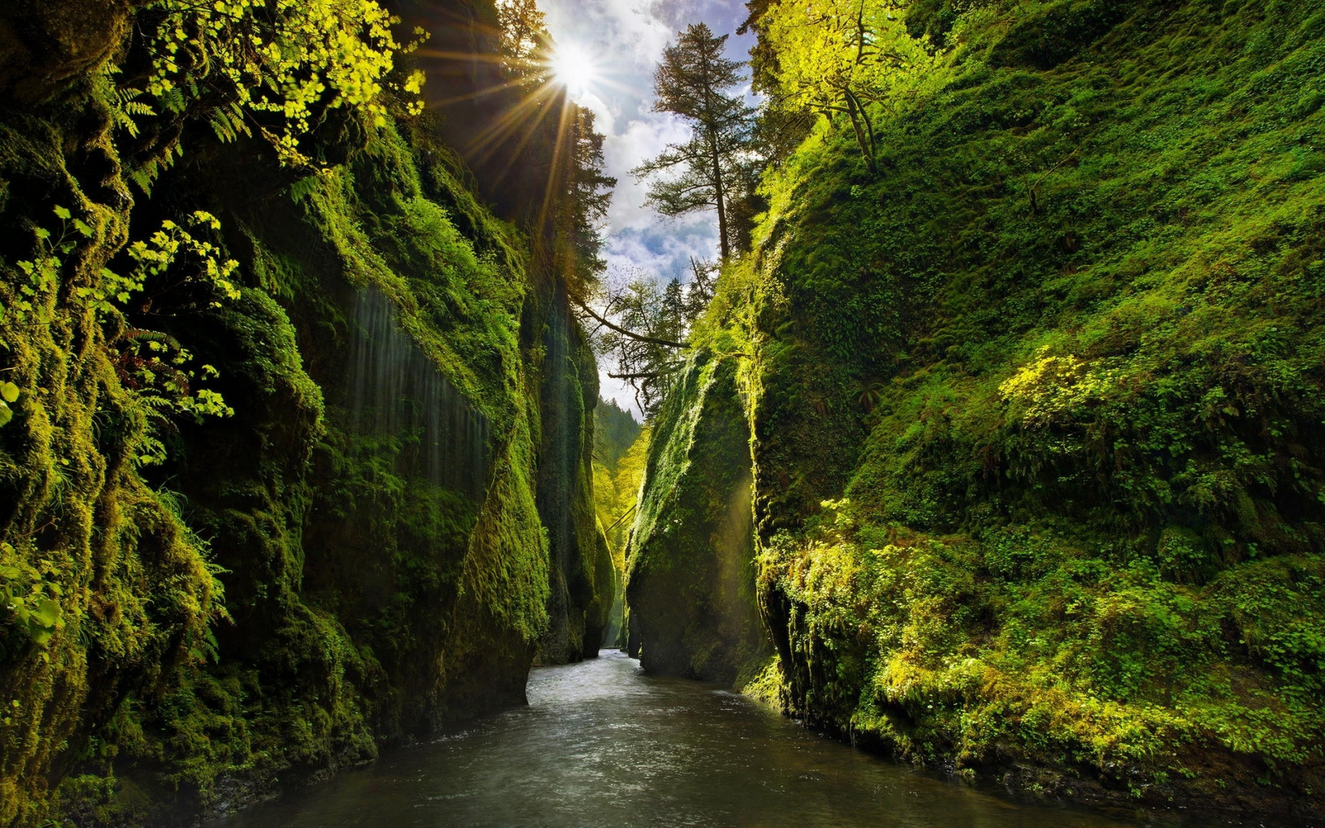 лес, горы, река, каньон, canyon, oregon, sun rays, moss, river, shrubs, grass, lake, mounts, field, forest, path, fallen, park, green, nature, landscapes, trees, forest, trail, woods, leaves, fence, sunrise, see, dark, summer, wide