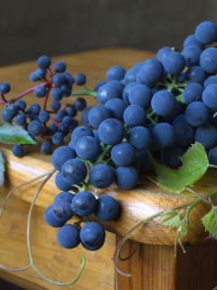 ягоды, синий, виноград