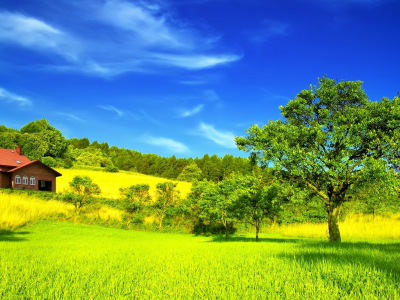 лес, гора, дом, grass, mount, house, field, trees, meadow, forest, path, moss, fallen, park, green, nature, landscapes, trees, forest, trail, woods, leaves, fence, sunrise, see, summer, wide