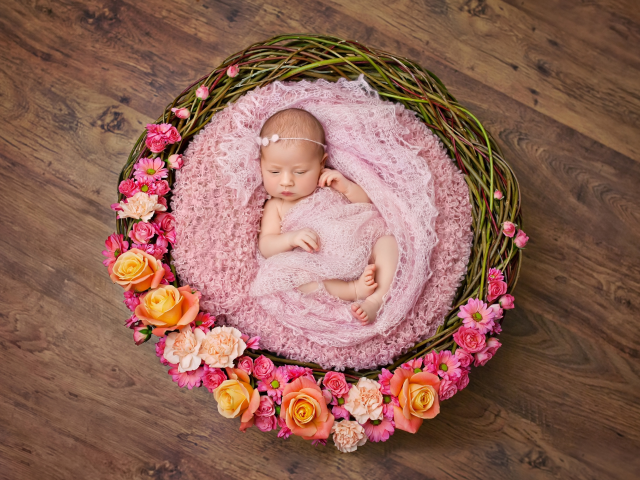 корзина, младенец, wicker, infants, basket, цветы