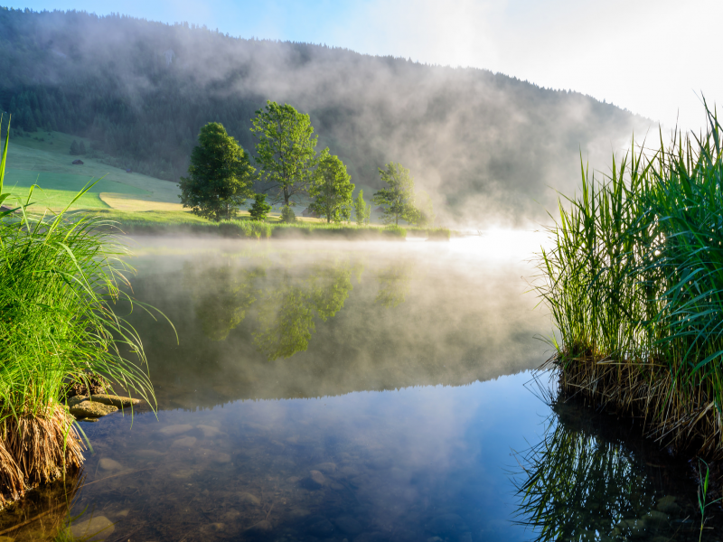 природа, красота