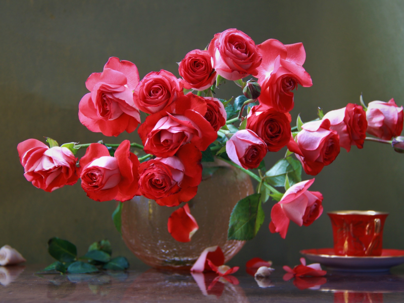 ракушки, розы, наталья кудрявцева, чашка, лепестки, ваза, цветы
