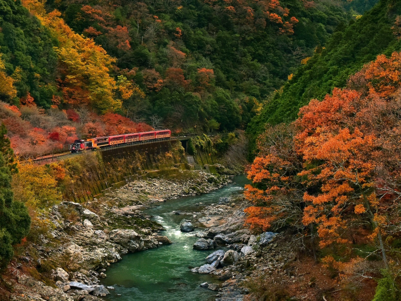 горы, лес, дорога, поезд, train, forest, road, trees, mount, sunrise, grass, yellow, green, mounts, leaves, mist, moss, trees, forest, fallen, park, green, nature, landscapes, trees, forest, trail, woods, leaves, fence, sunrise, see, sun, day, nice, 