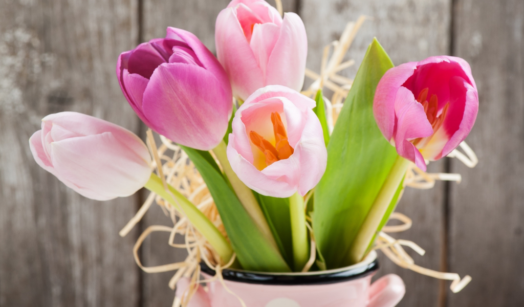 fresh, love, gift, pink, тюльпаны, romantic, tulips, букет, flowers