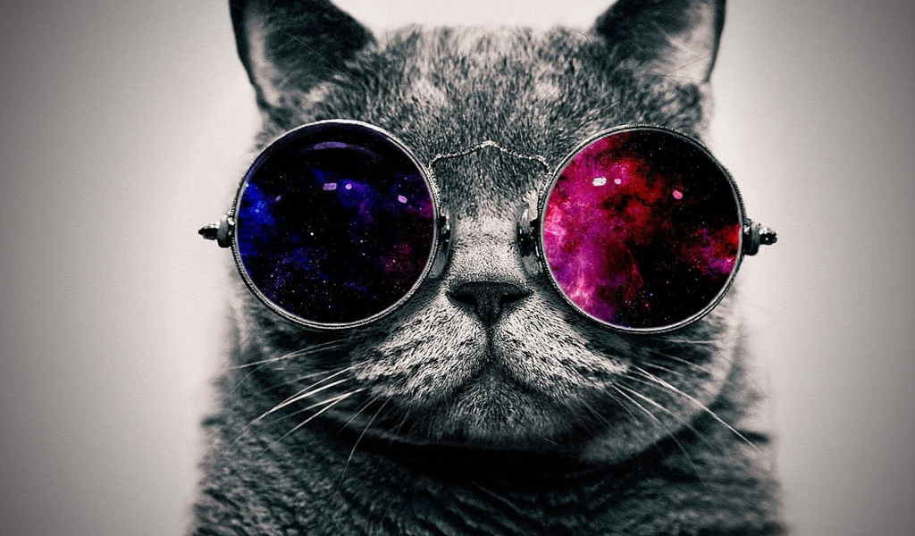 кот, очки, кот в очках, арт, smile, cat, glasses, cat in glasses, art, read, room, sun, summer, grey, nice, see, wide