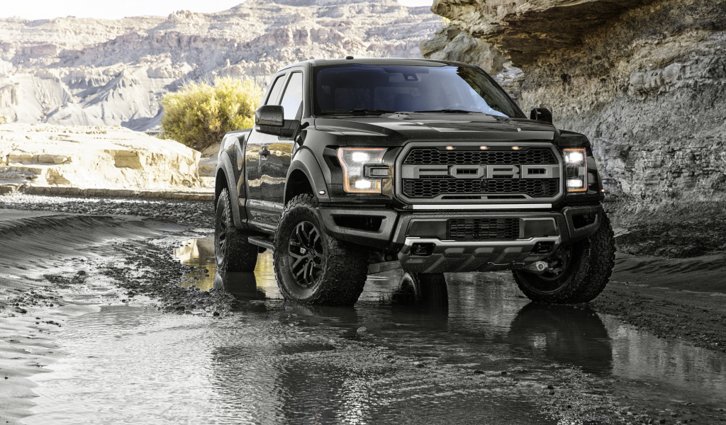 автомобиль, форд, ф150, ford, f150, raptor, pickup, truck, hemi, wagon, front, muscle, musclecar, stance, power, car, black, mod, custom, front, sky, summer, see, indusrial, modern, sun, summer, nice, wide