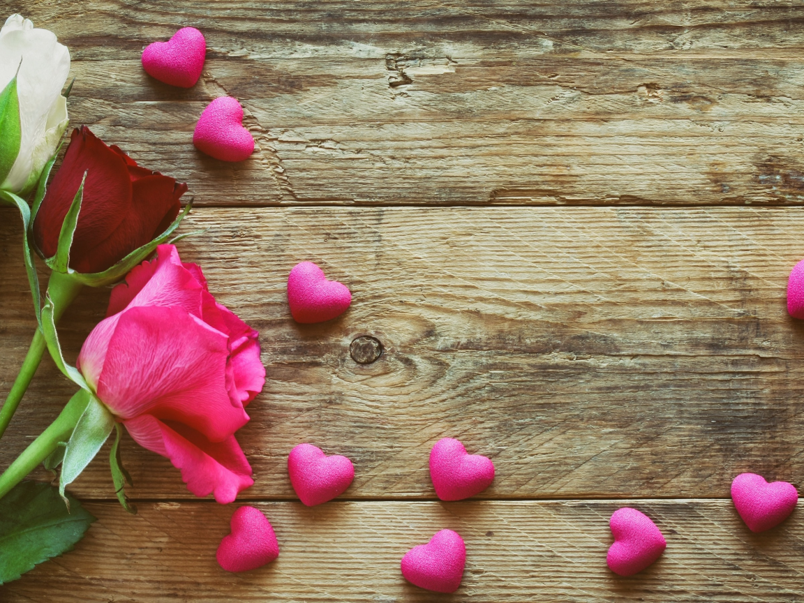 love, roses, wood, pink, romantic, розы, сердечки