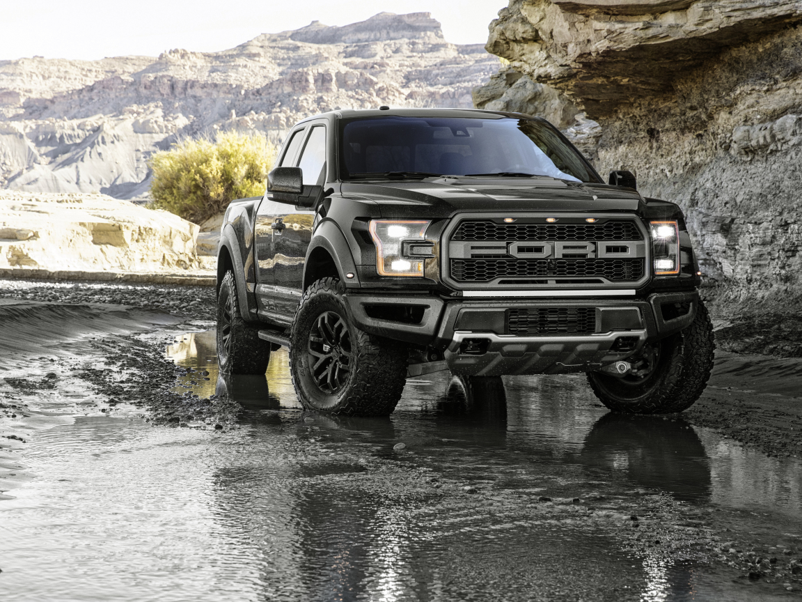 автомобиль, форд, ф150, ford, f150, raptor, pickup, truck, hemi, wagon, front, muscle, musclecar, stance, power, car, black, mod, custom, front, sky, summer, see, indusrial, modern, sun, summer, nice, wide