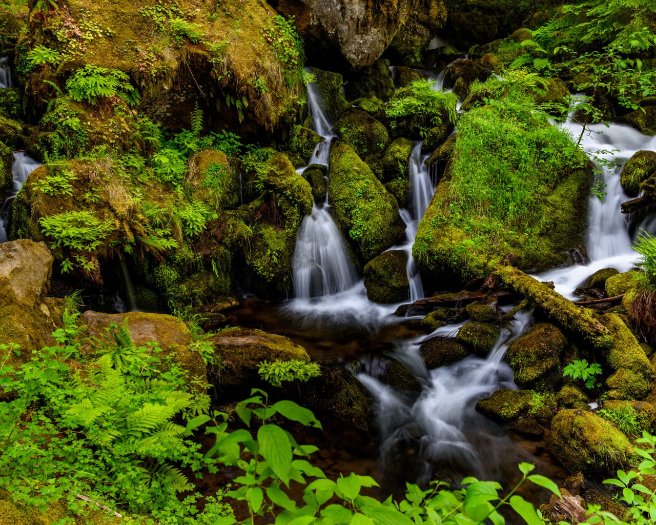 вода, камни