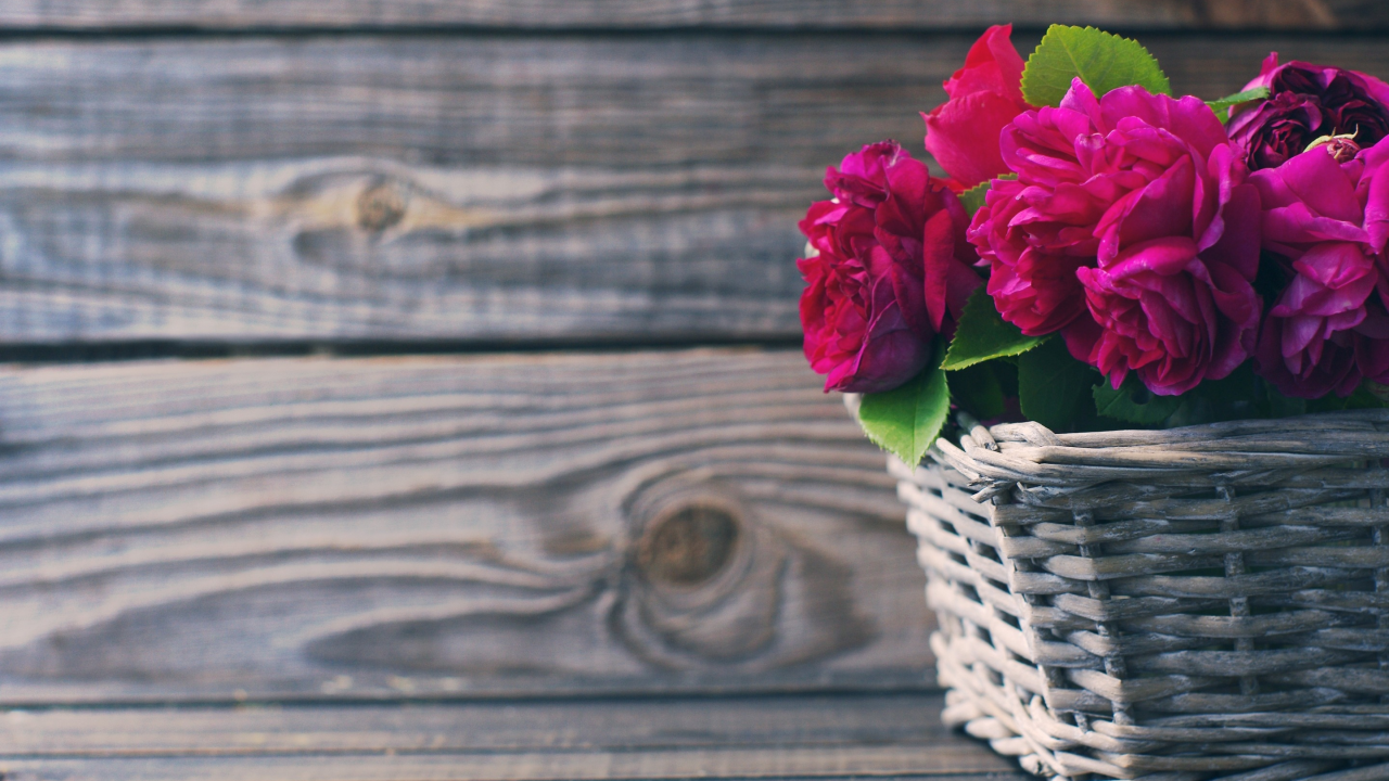 розы, beautiful, корзина, розовые, wood, flowers, pink