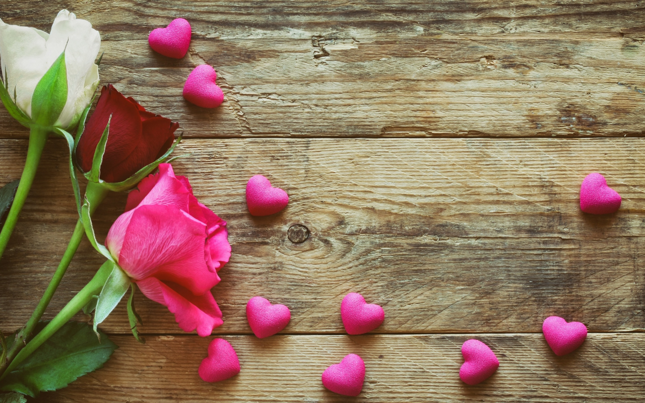 love, roses, wood, pink, romantic, розы, сердечки