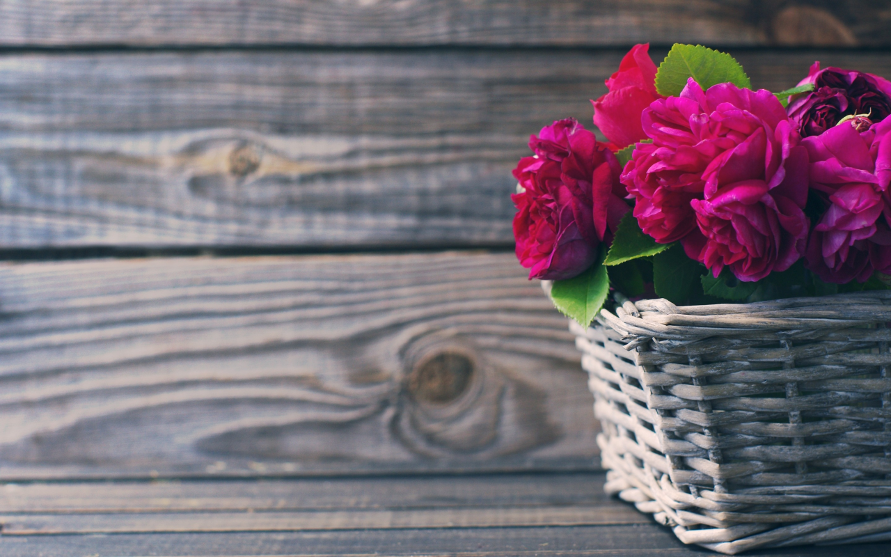 розы, beautiful, корзина, розовые, wood, flowers, pink