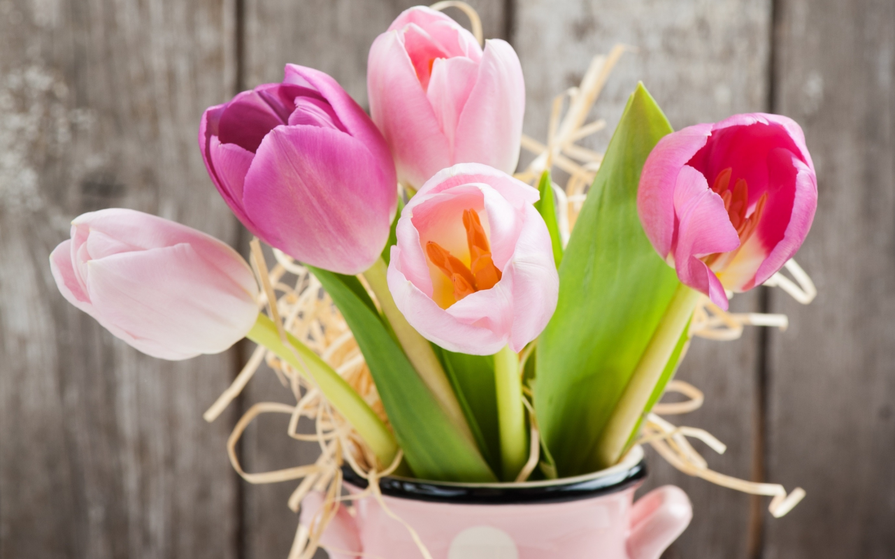 fresh, love, gift, pink, тюльпаны, romantic, tulips, букет, flowers