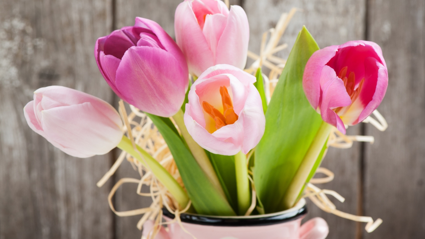 fresh, love, gift, pink, тюльпаны, romantic, tulips, букет, flowers