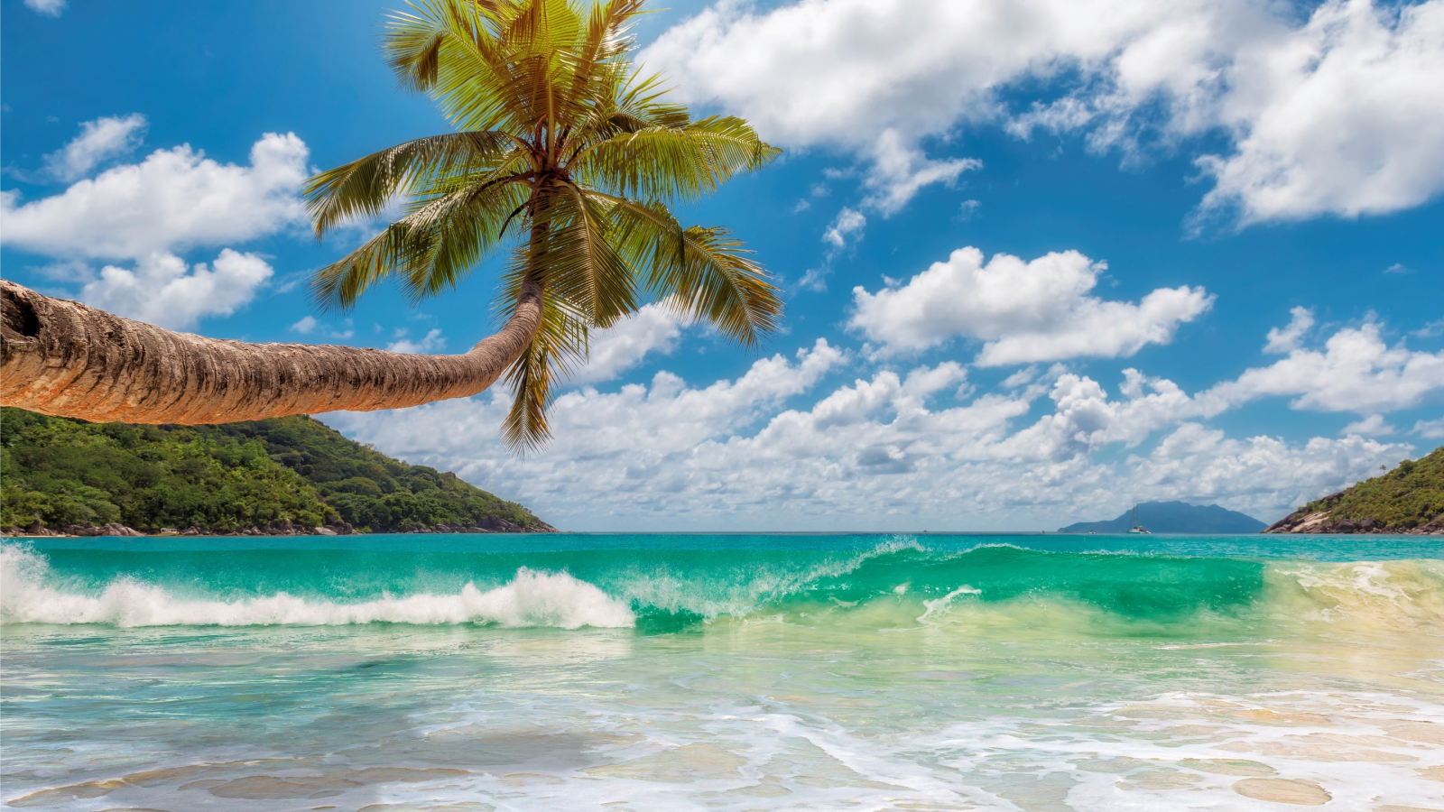 солнце, tropical, summer, sand, beach, море, песок, sea, пляж, palms, берег, island, paradise, пальмы