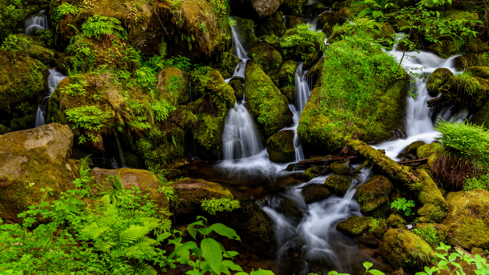 вода, камни