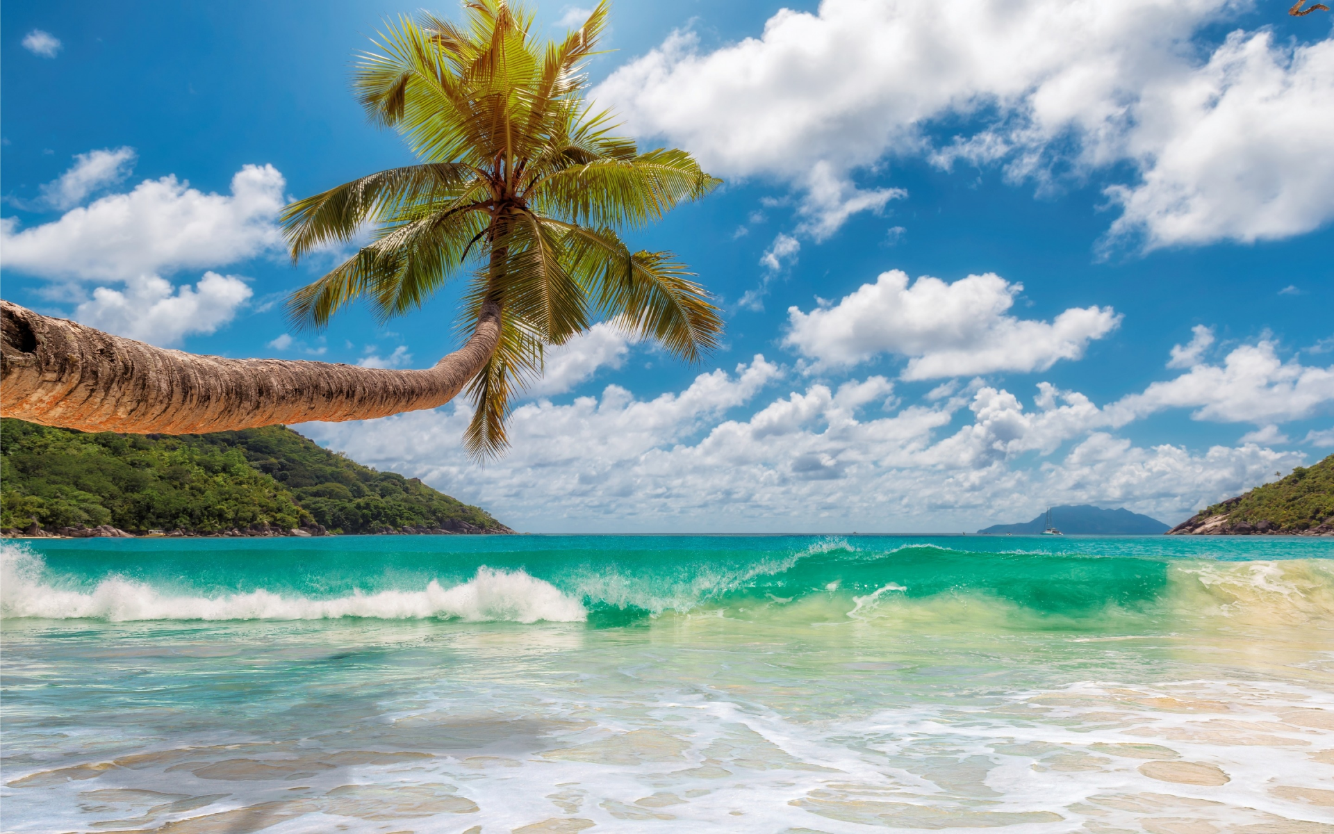 солнце, tropical, summer, sand, beach, море, песок, sea, пляж, palms, берег, island, paradise, пальмы