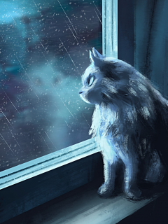 дождь, интерьер, кошка