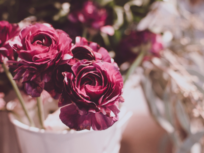 букет, розы, цветы