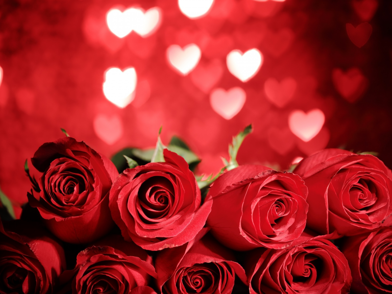 красные розы, heart, love, valentines day, roses, romantic, gift, red, flowers