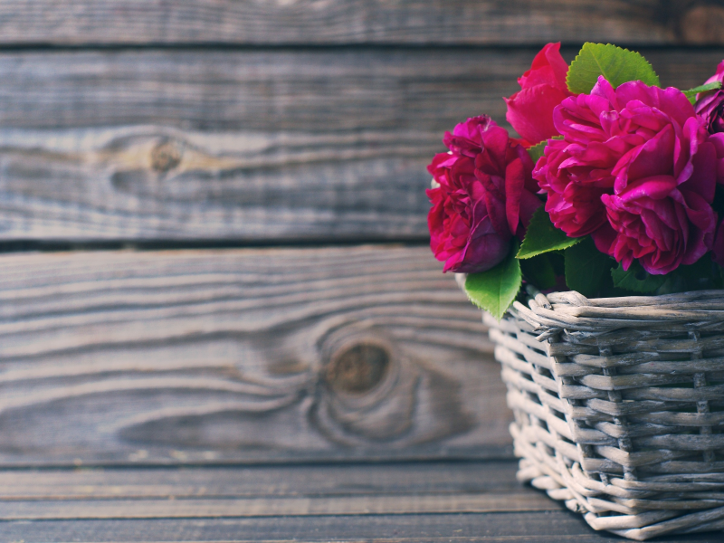 розы, beautiful, корзина, розовые, wood, flowers, pink