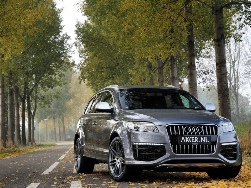 audi, q7, road, ауди, внедорожник, дорога, осень, листья