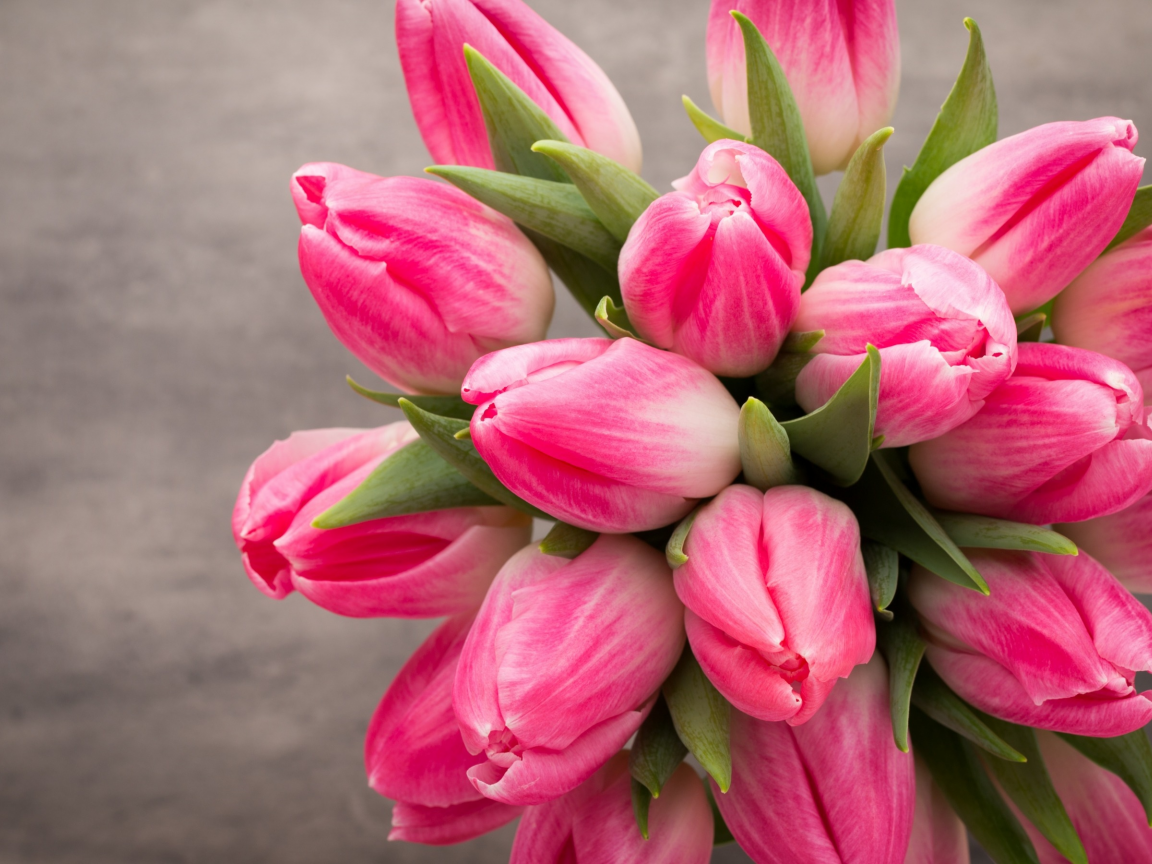 beautiful, розовые, fresh, белые, тюльпаны, tulips, букет, spring, flowers, цветы