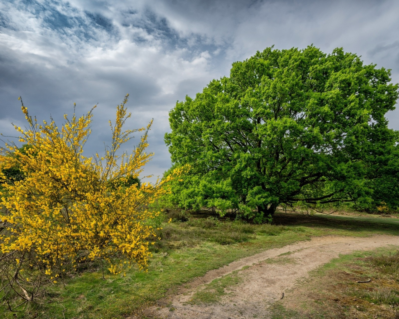 природа, красота