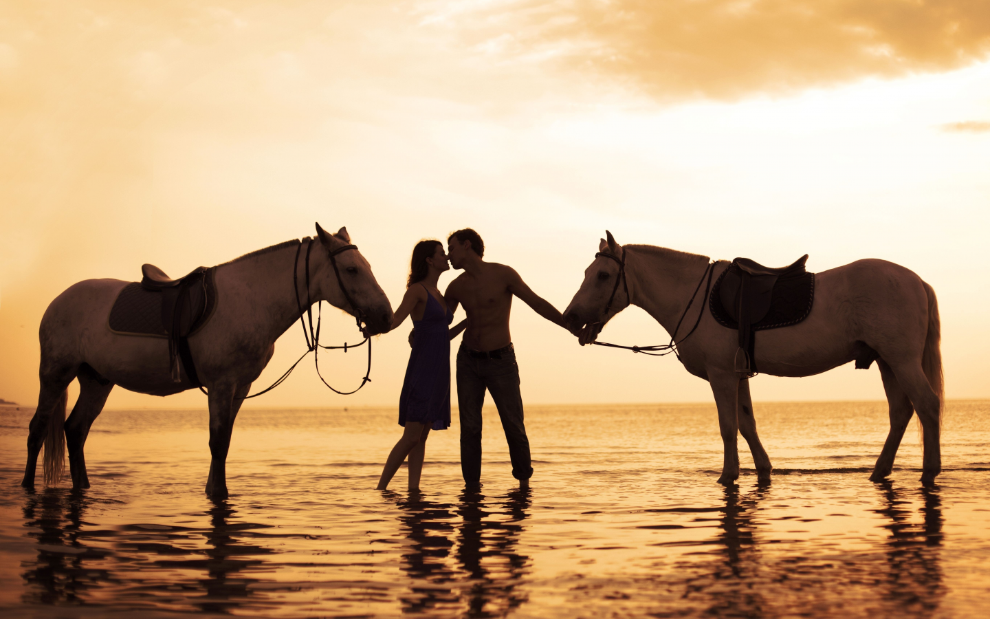 девушка, мужчина, поцелуй, пляж, лошади, horse, sunset, kiss, love, sea, beach, heart, sun, solar, light, summer, see, nice, wide