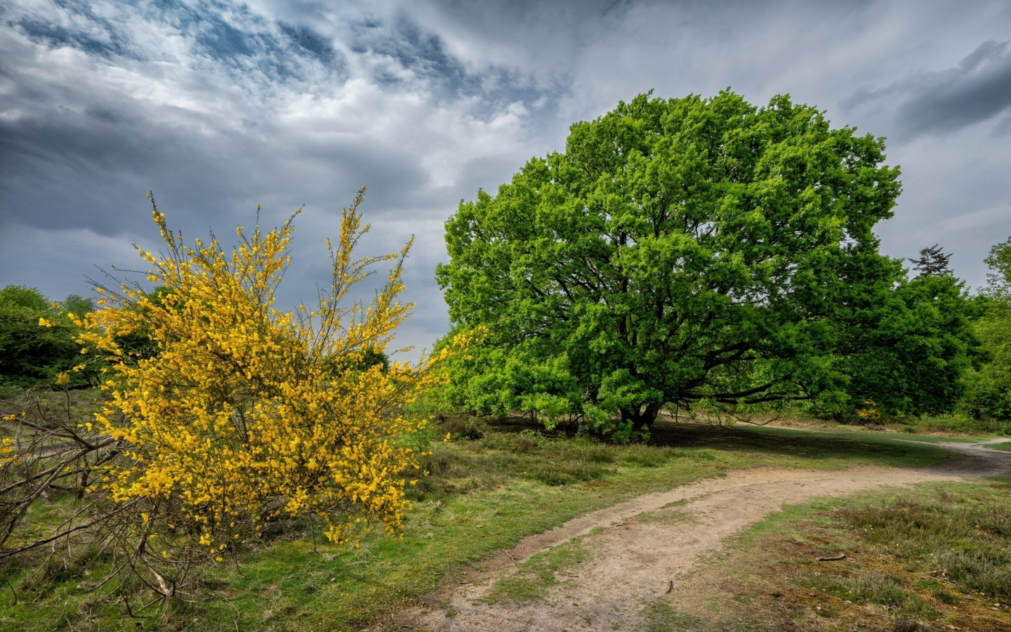 природа, красота