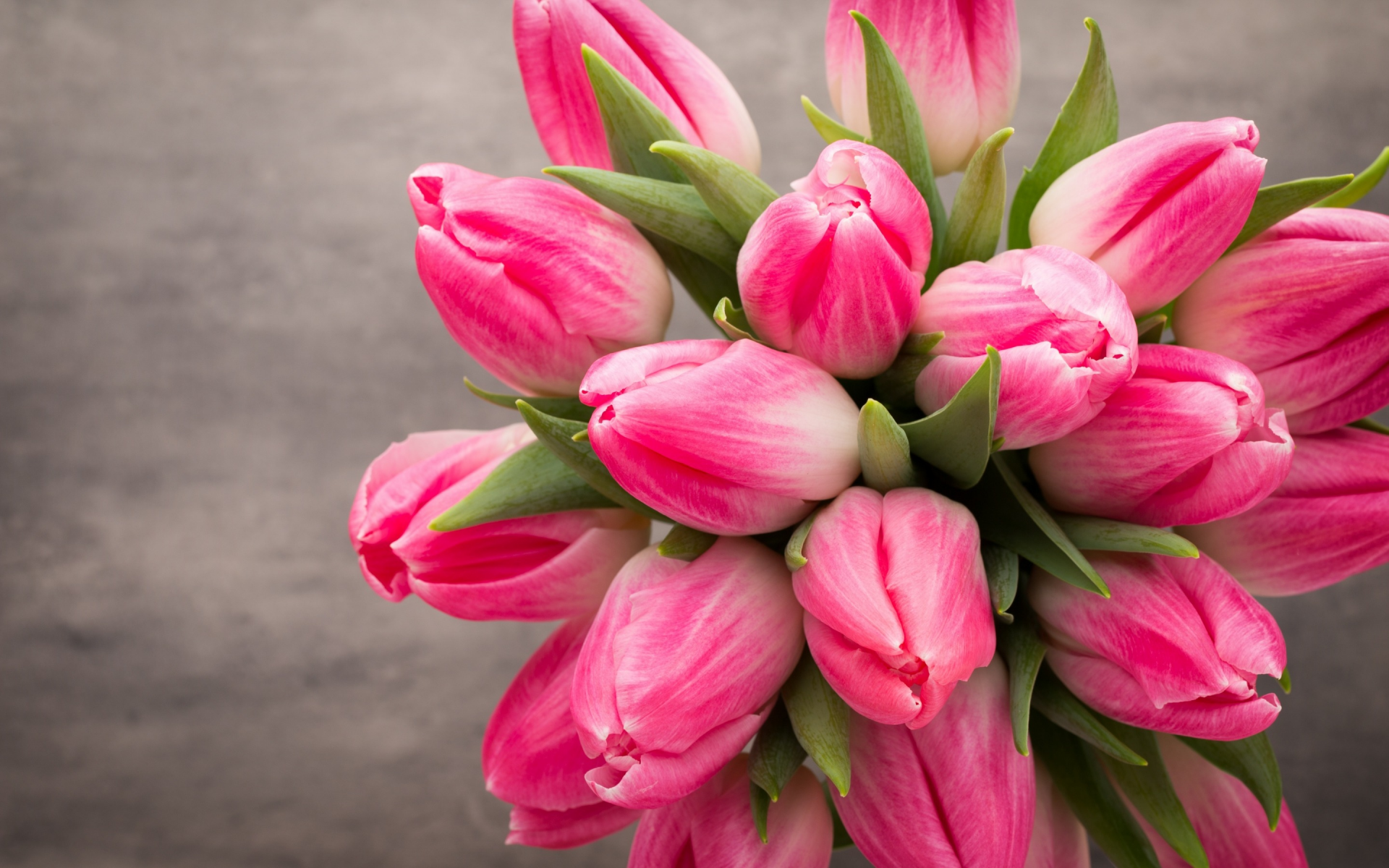 beautiful, розовые, fresh, белые, тюльпаны, tulips, букет, spring, flowers, цветы