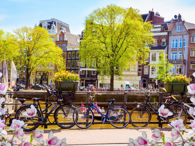весна, река, цветение, buildings, амстердам