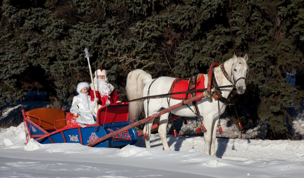 дед мороз, снегурочка, сани, новый год, grandfather, frost, snow maiden, sleigh, new year, snow, forest, winter, trees, field, see, sun, light, nice, wide