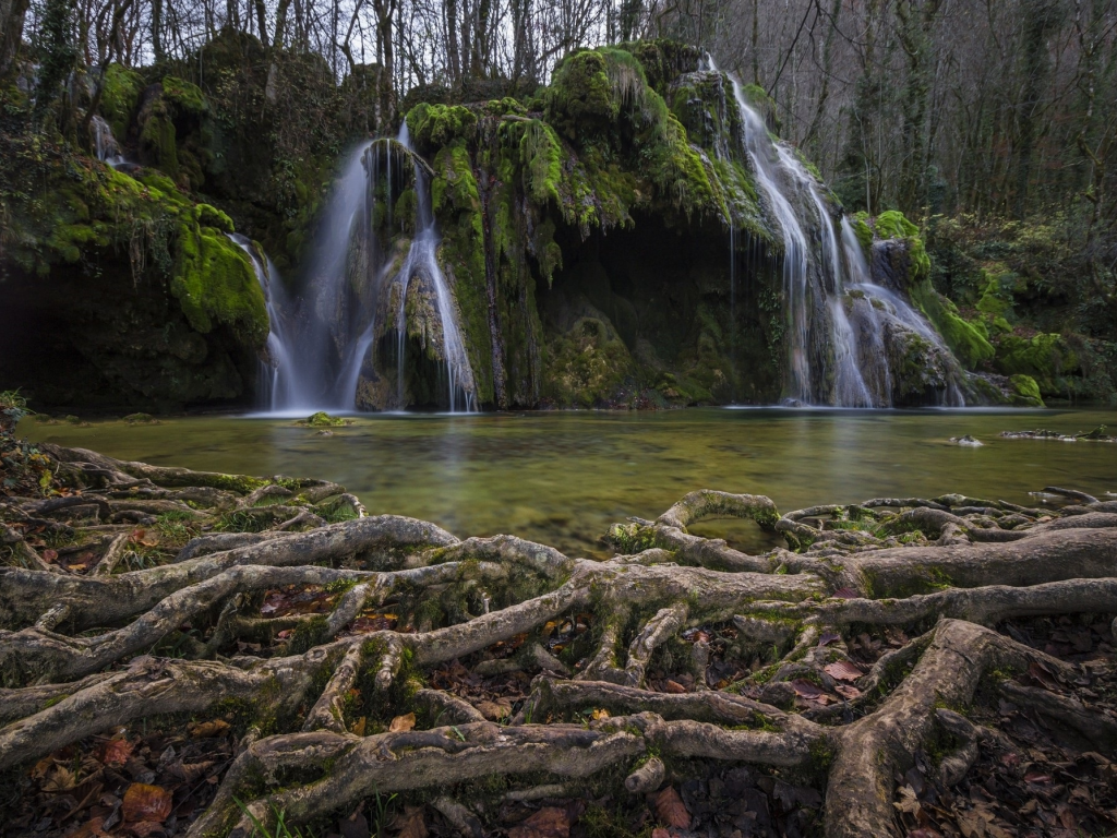 природа, красота