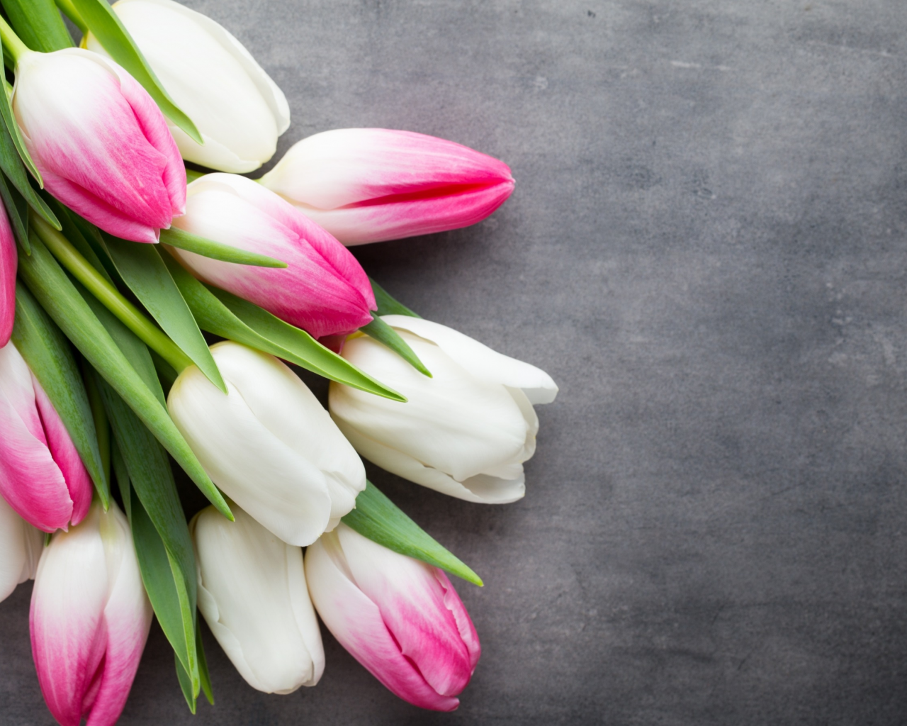 beautiful, розовые, fresh, белые, pink, white, тюльпаны, tulips, букет, spring, flowers, цветы