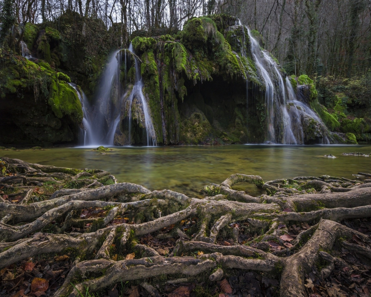 природа, красота