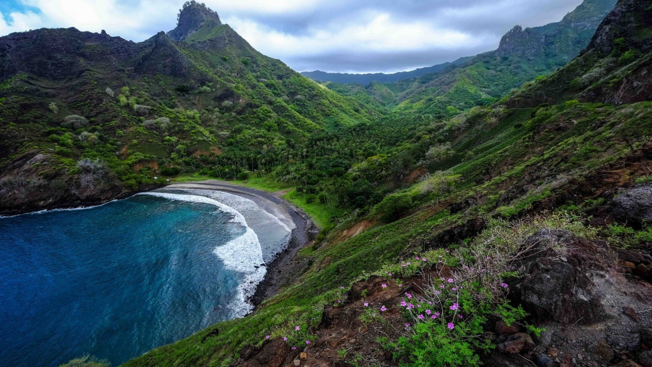 горы, море, mountains, sea, flowers, trees, shore, meadow, grass, sky, nice, see, wide