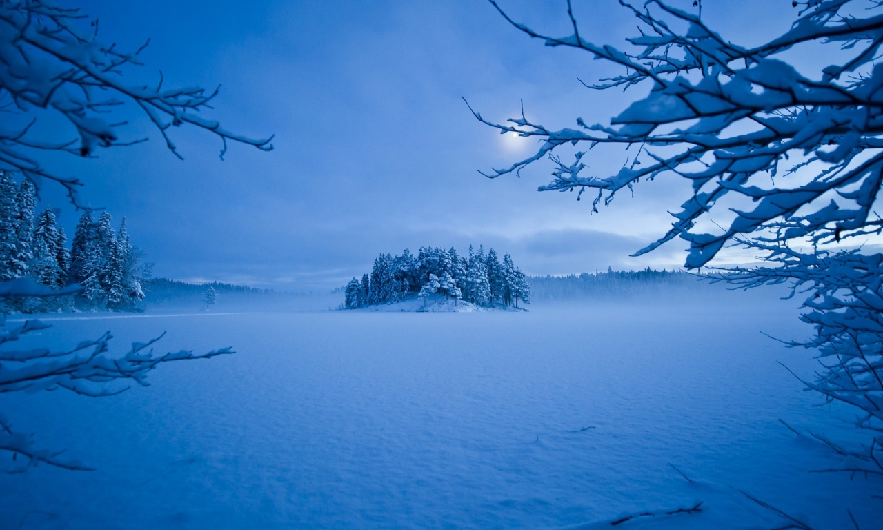 деревья, мороз, зима, снег, вечер, луна