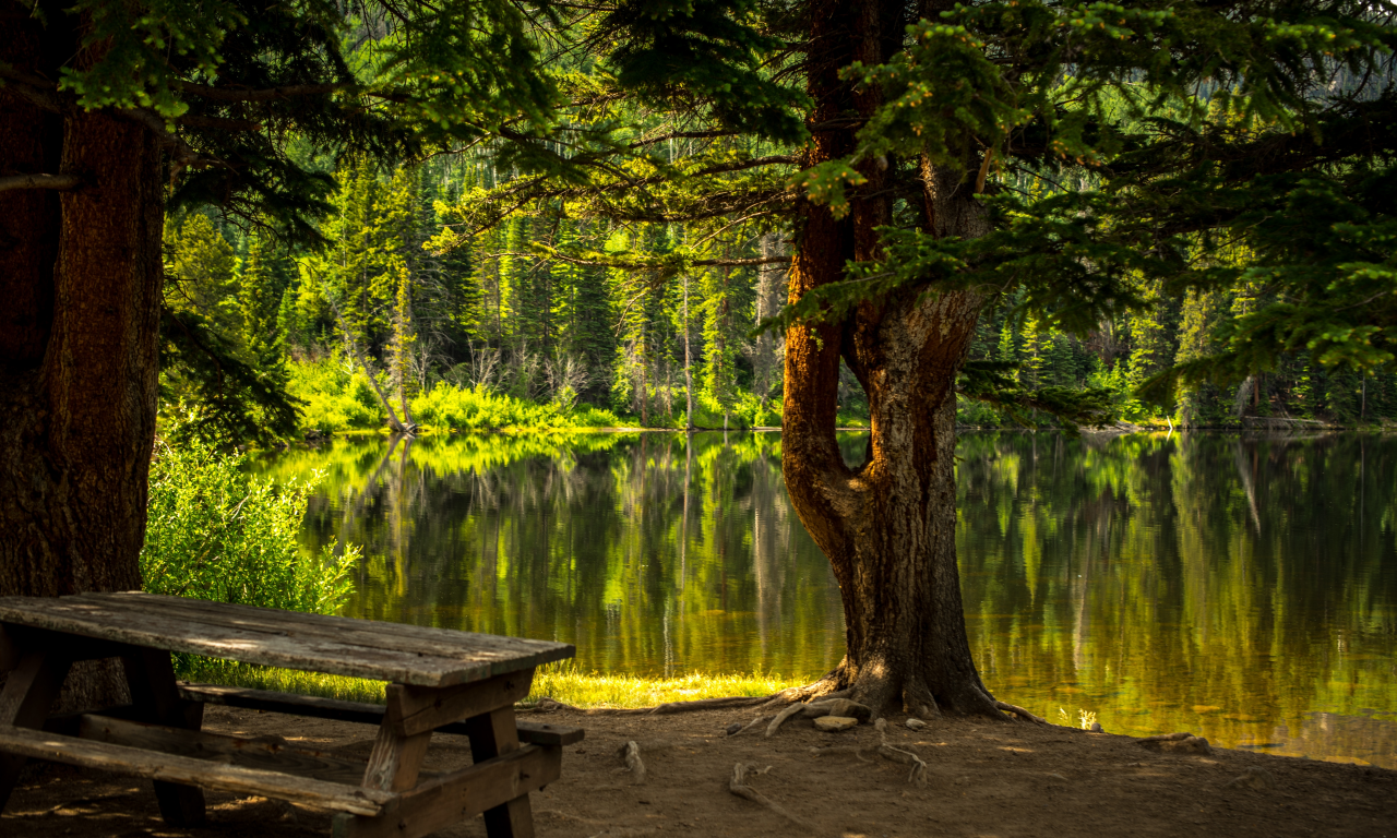 лес, озеро, forest, grass, lake, landscape, park, travel, trees, water, nice, wide