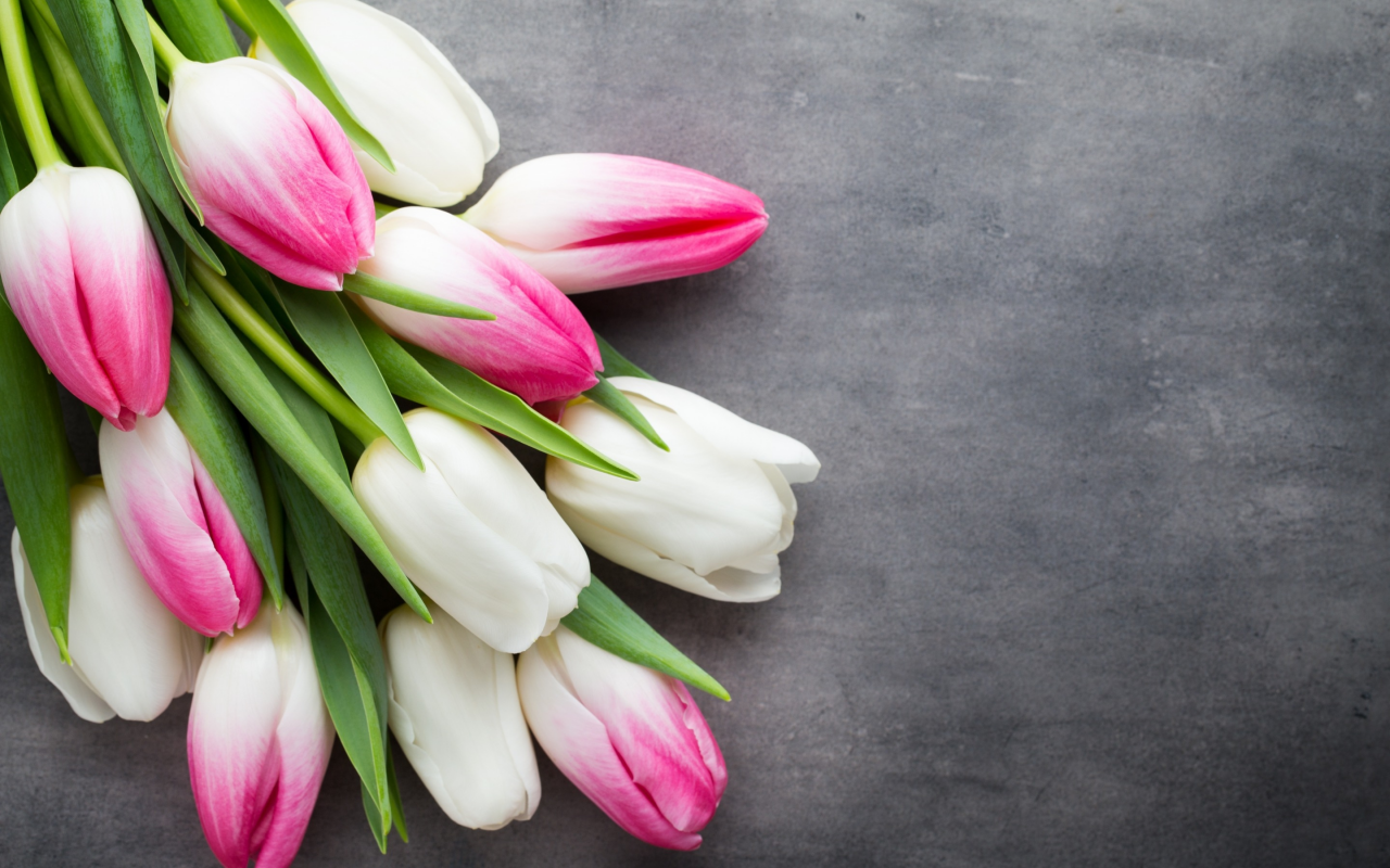 beautiful, розовые, fresh, белые, pink, white, тюльпаны, tulips, букет, spring, flowers, цветы