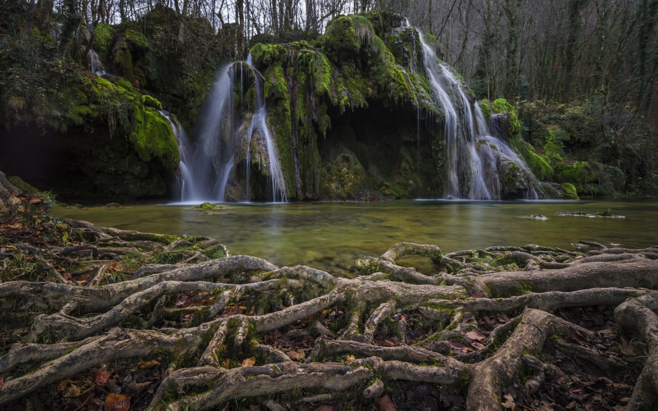 природа, красота