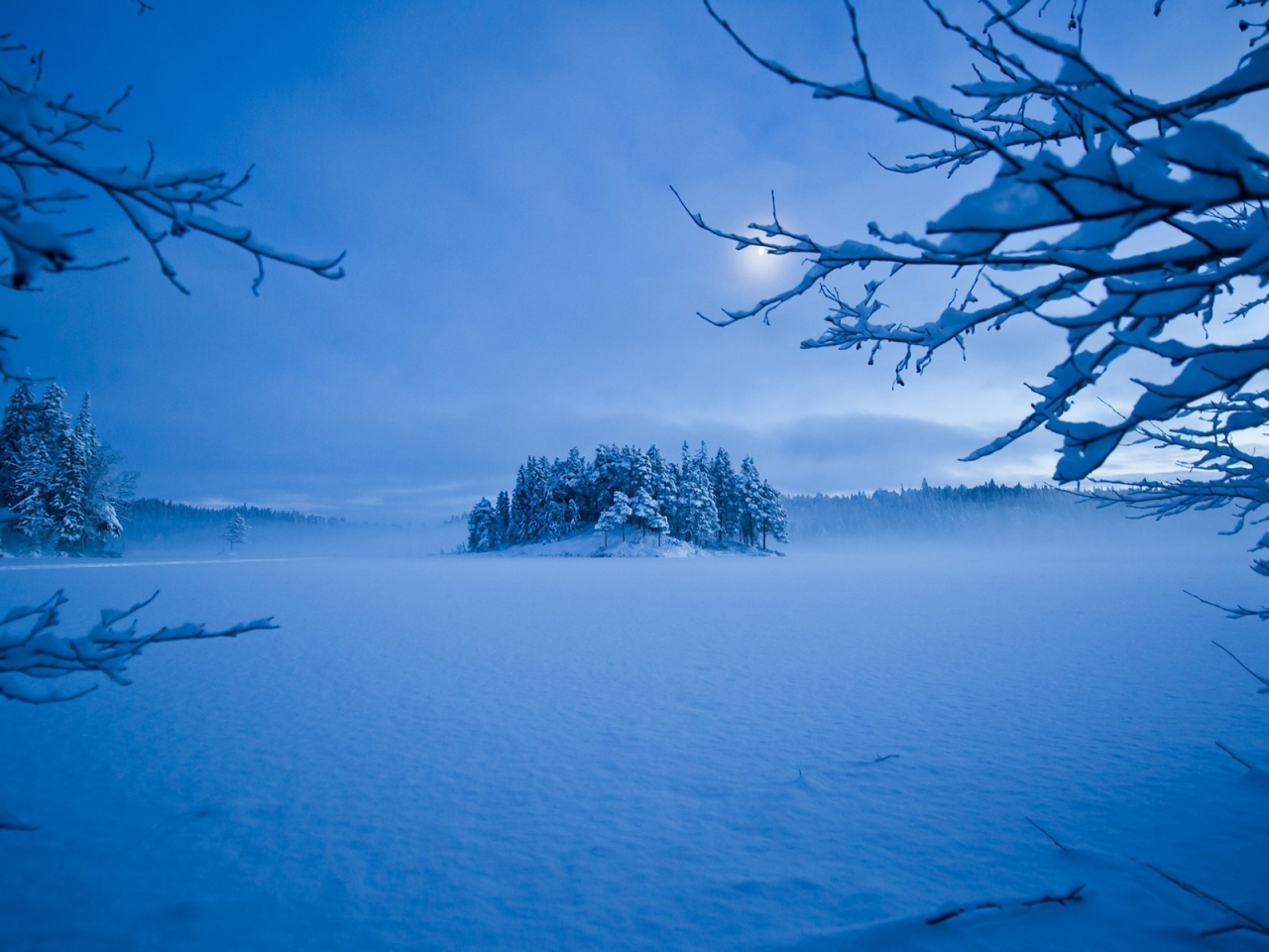 деревья, мороз, зима, снег, вечер, луна