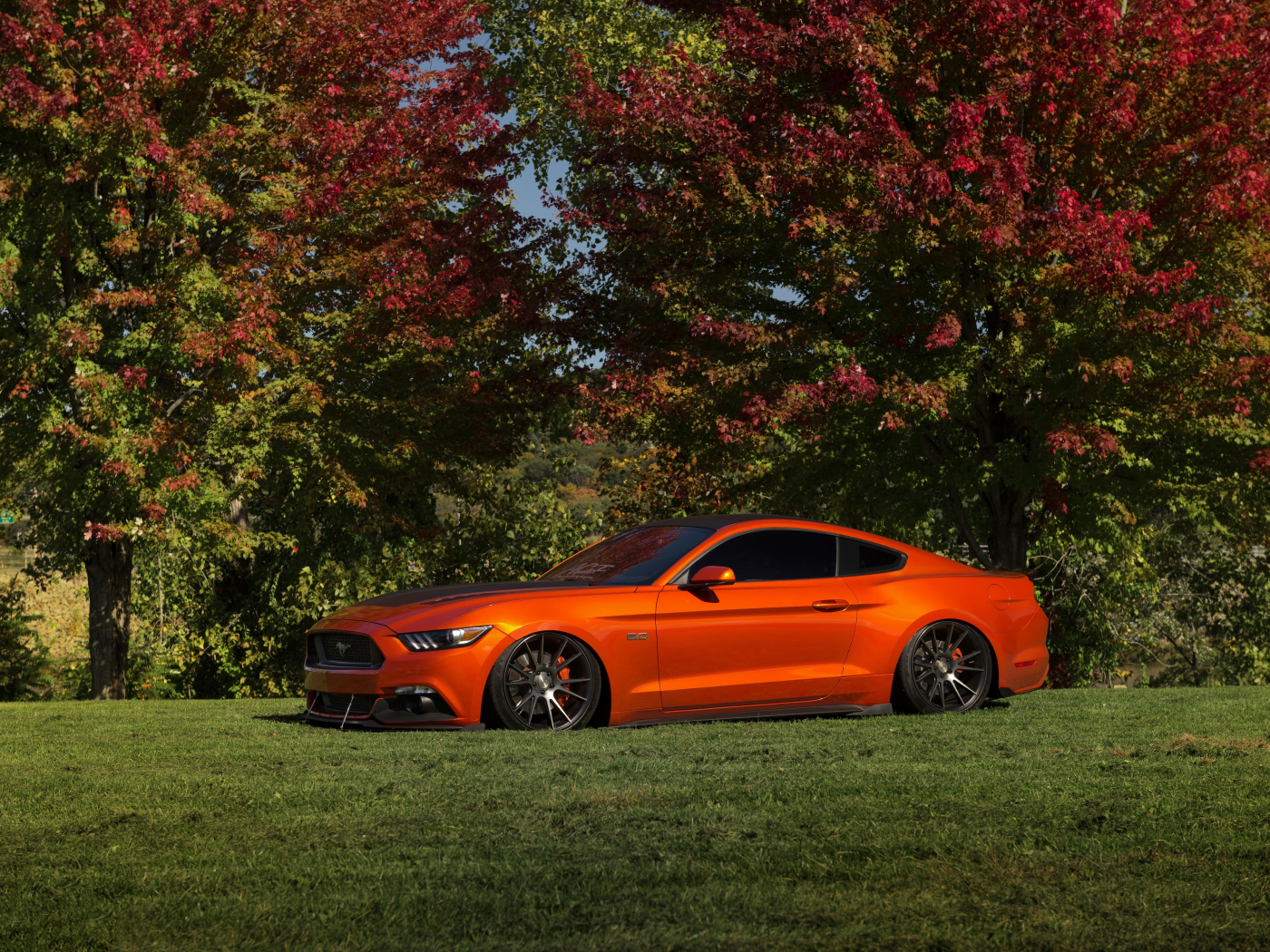 автомобиль, форд, мустанг, ford, mustang, red, 5 litr, muscle, musclecar, stance, power, forest, car, sun, sky, summer, see, indusrial, front, day, nice, wide