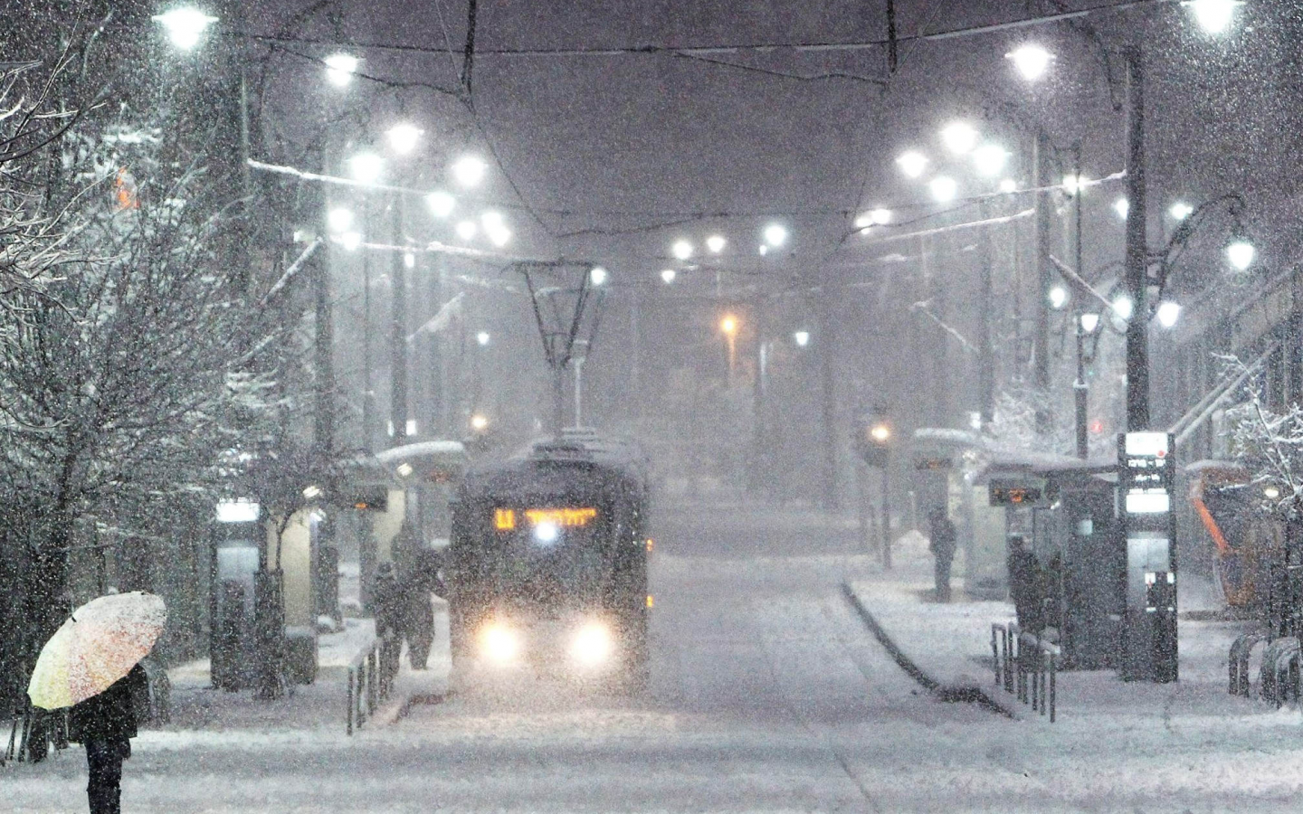город, зима, снегопад, снег, трамвай, дома, фонари, остановка, люди, провода, деревья