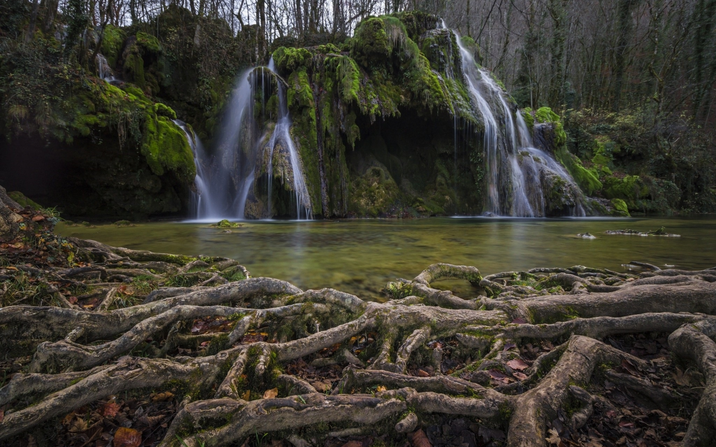 природа, красота