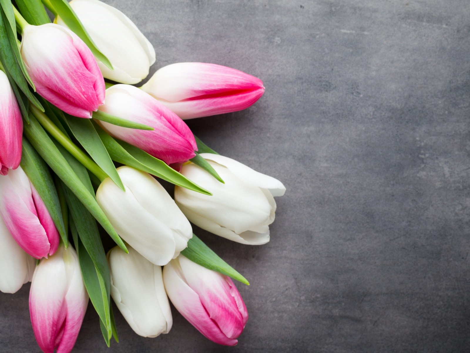 beautiful, розовые, fresh, белые, pink, white, тюльпаны, tulips, букет, spring, flowers, цветы